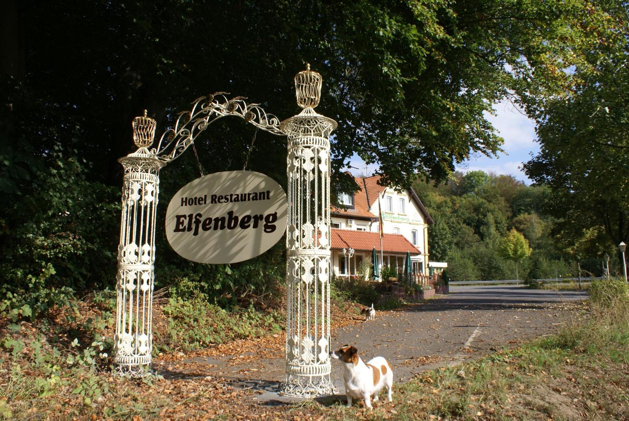 Hotel Elfenberg Schieder-Schwalenberg Exterior photo